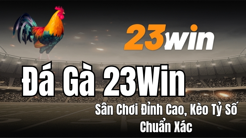 Đá Gà 23WIN - Xem Trực Tiếp Và Cá Cược Đá Gà Hấp Dẫn
